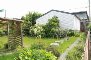 Way to house with Greenery on sides